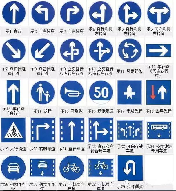 看清信號燈、標牌與標線