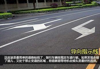 看清信號燈、標牌與標線