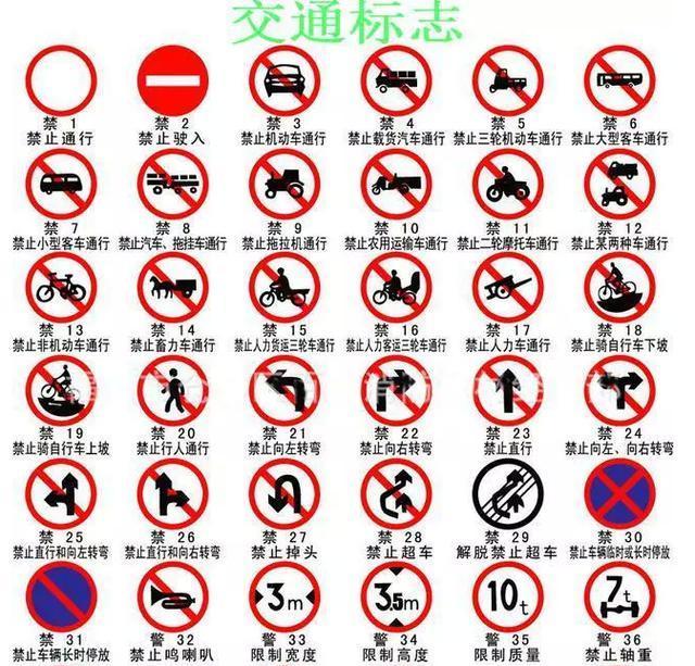 看清信號燈、標牌與標線