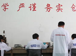 華路德技術部
